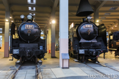 [京都鉄道博物館] 左からD51 1,、C61 1(扇形車庫)