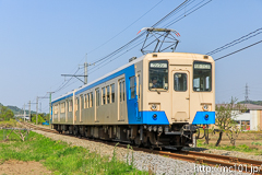 [上信電鉄南蛇井～千平間] 29列車、252+1301