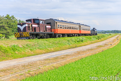 [津軽鉄道川倉～大沢内間] 貸切351列車、DD35 2+オハ46 2+オハフ33 1+トム1形2両+、旅行会社による貸切列車