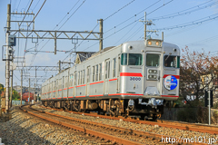 [山陽電鉄荒井～伊保間] 1422列車、3000系3000F