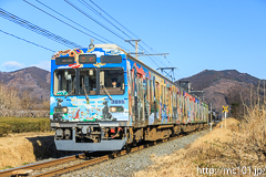 [秩父鉄道野上～長瀞間] 1515列車、7500系7505F、秩父三社トレイン