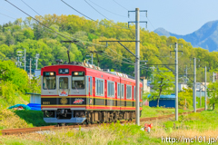 [上田電鉄別所線寺下～神畑間] 38列車、6000系6001F、さなだどりーむ号