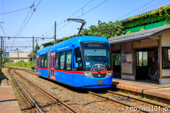 [万葉線六渡寺駅] 51列車、MLRV1000形MLRV1004、ドラえもんトラム