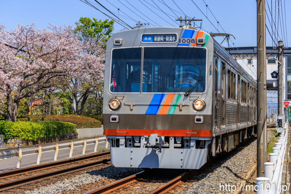サムネイル写真