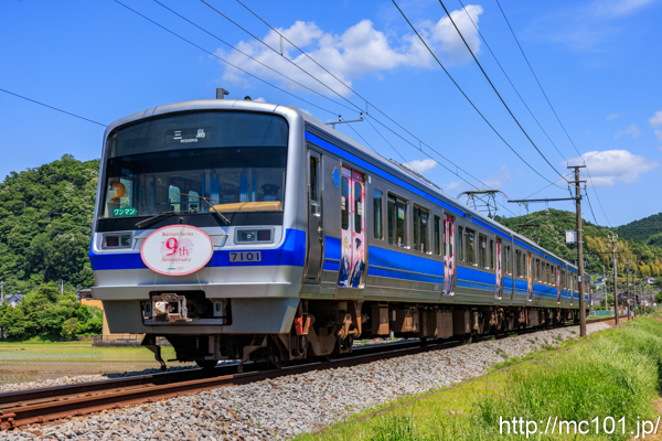 伊豆箱根鉄道駿豆線 大仁～牧之郷間で撮影した伊豆箱根鉄道7000系7101を先頭とする列車(7501F)の写真
