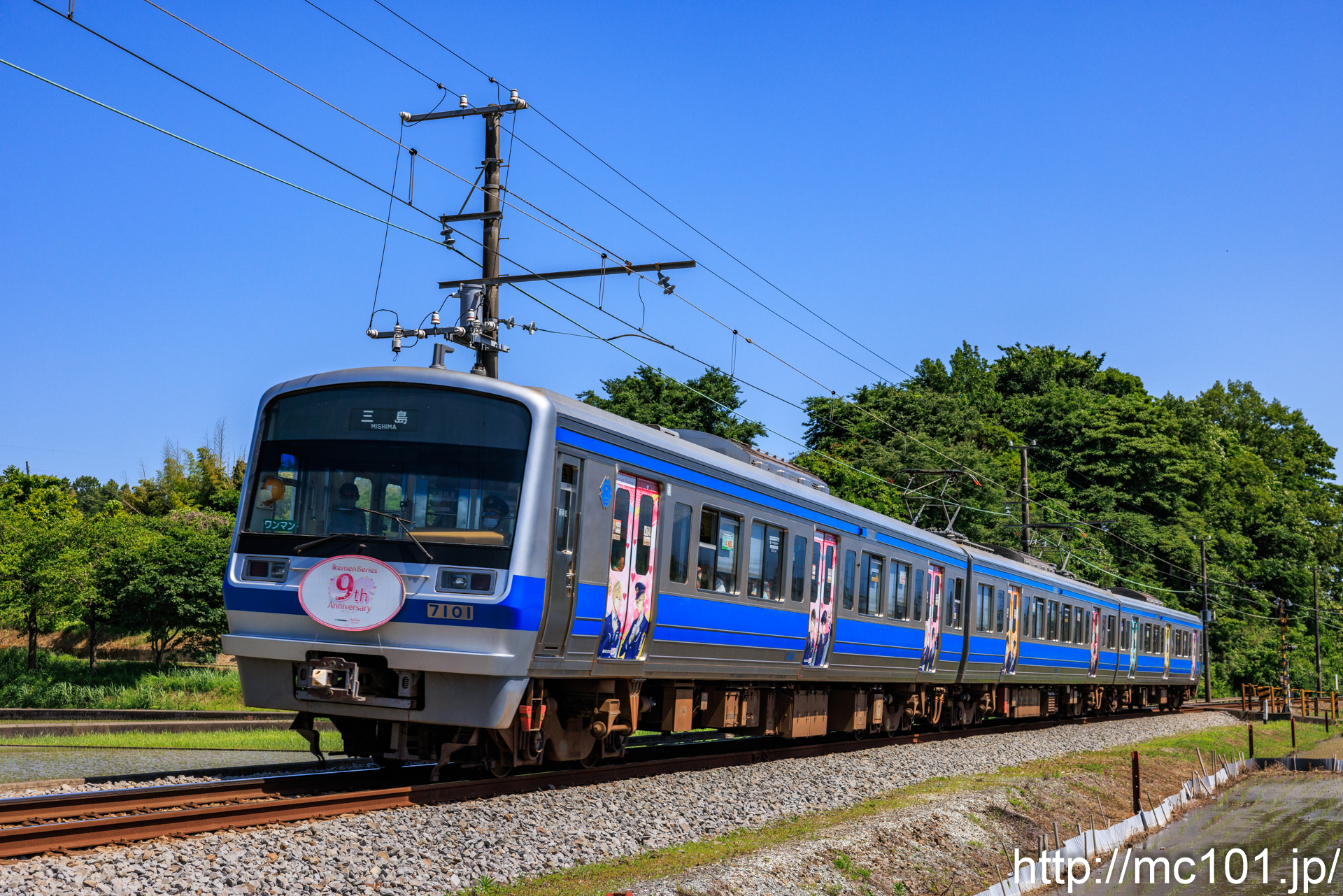 伊豆箱根鉄道駿豆線 三島二日町～大場間で撮影した伊豆箱根鉄道7000系7101を先頭とする列車(7501F)の写真