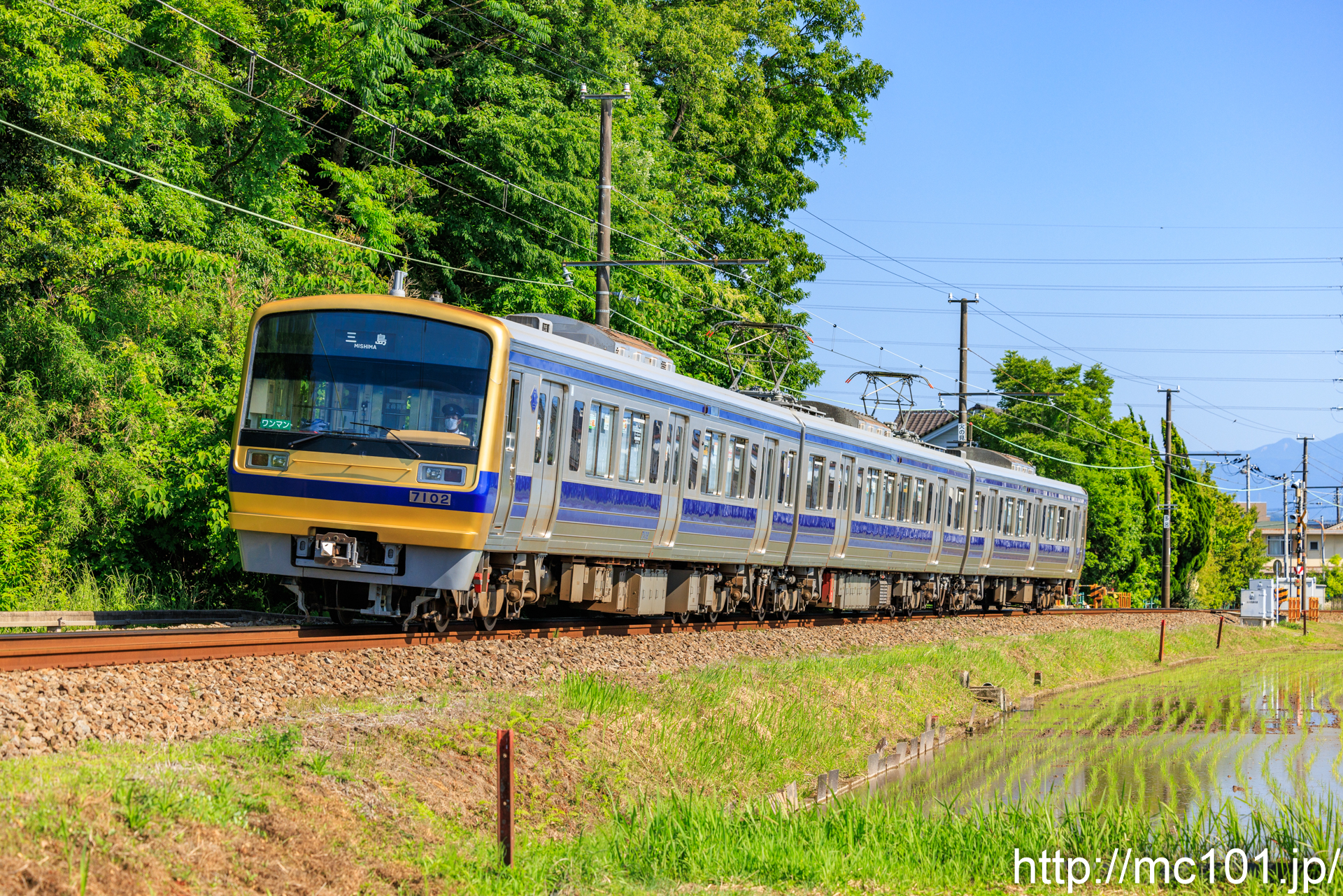 伊豆箱根鉄道駿豆線 三島二日町～大場間で撮影した伊豆箱根鉄道7000系7102を先頭とする列車(7502F)の写真