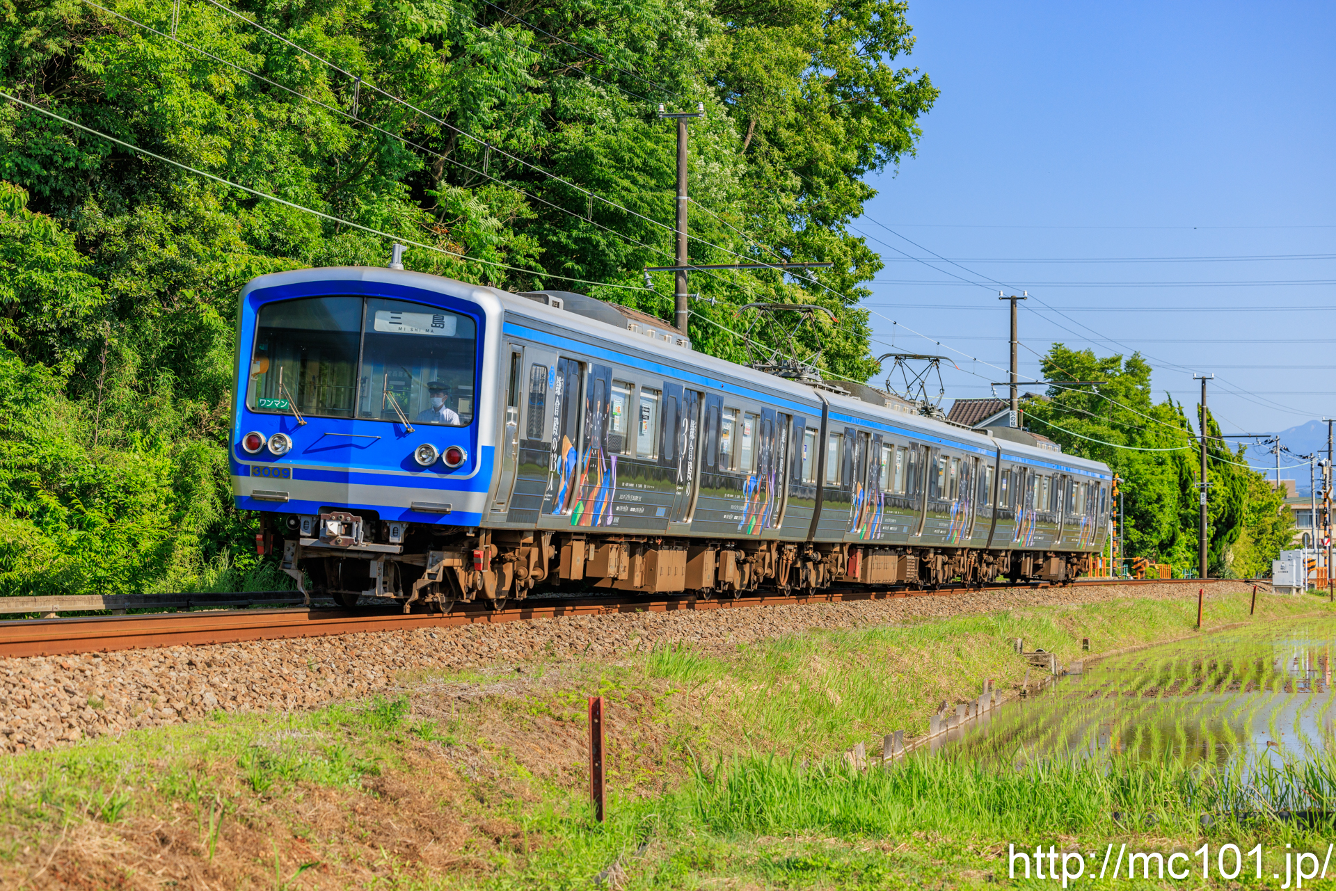 伊豆箱根鉄道駿豆線 三島二日町～大場間で撮影した伊豆箱根鉄道3000系3009を先頭とする列車(3505F)の写真