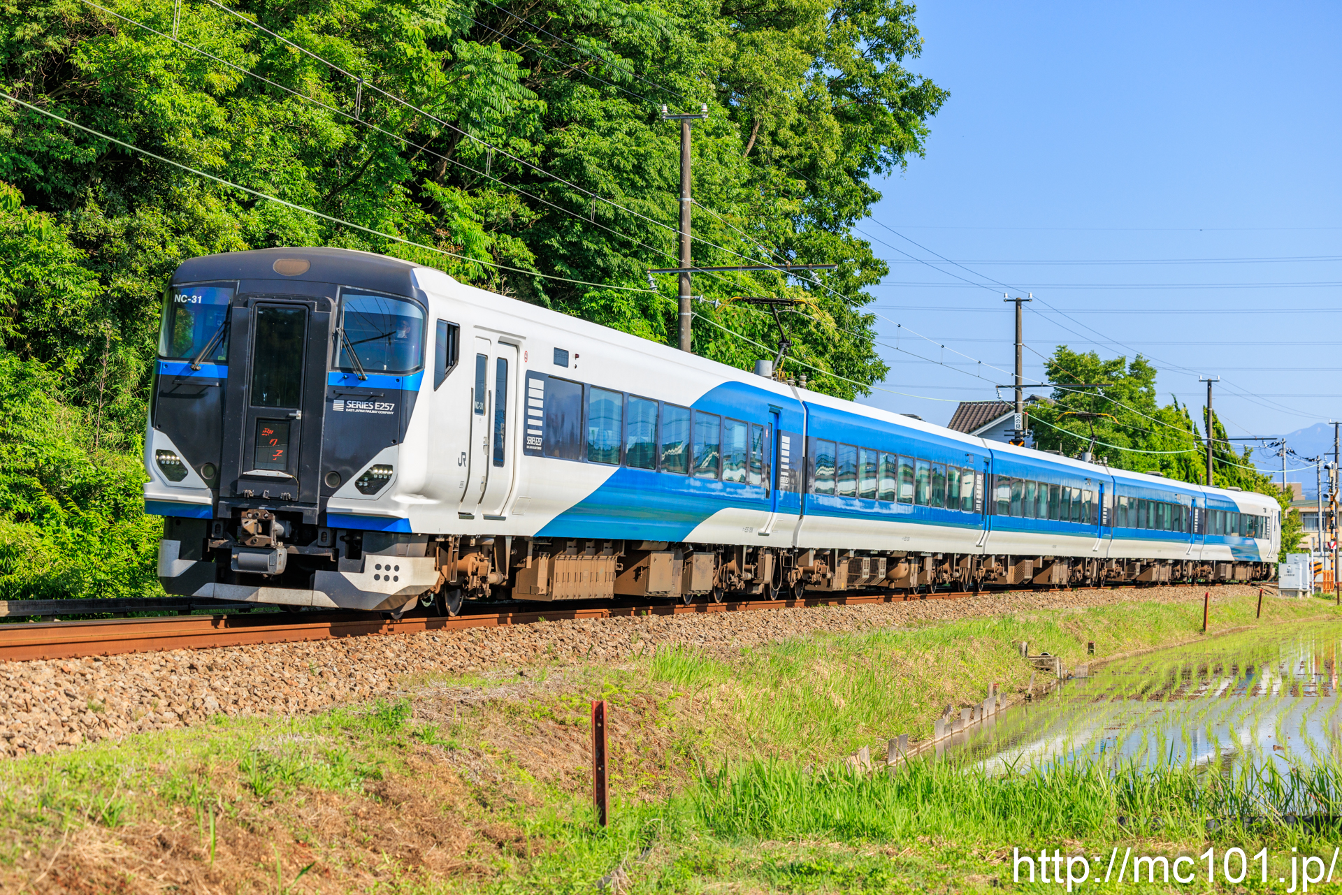伊豆箱根鉄道駿豆線 三島二日町～大場間で撮影したJR東日本E257系クハE257-2506を先頭とする列車(NC-31編成)の写真