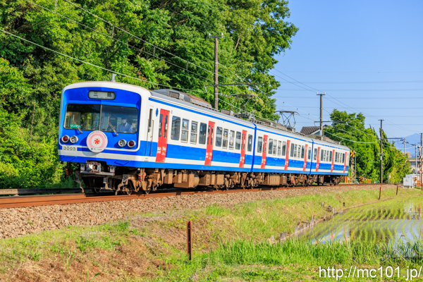 伊豆箱根鉄道駿豆線 三島二日町～大場間で撮影した伊豆箱根鉄道3000系3005を先頭とする列車(3503F)の写真