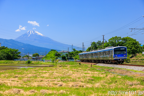 伊豆箱根鉄道駿豆線 三島二日町～大場間で撮影した伊豆箱根鉄道3000系3505を先頭とする列車(3505F)の写真