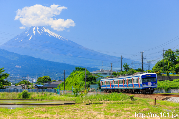 伊豆箱根鉄道駿豆線 三島二日町～大場間で撮影した伊豆箱根鉄道3000系3503を先頭とする列車(3503F)の写真