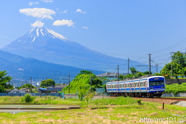 サムネイル写真
