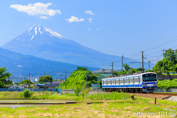 伊豆箱根鉄道駿豆線 三島二日町～大場間で撮影した伊豆箱根鉄道1300系2202を先頭とする列車(1302F)の写真