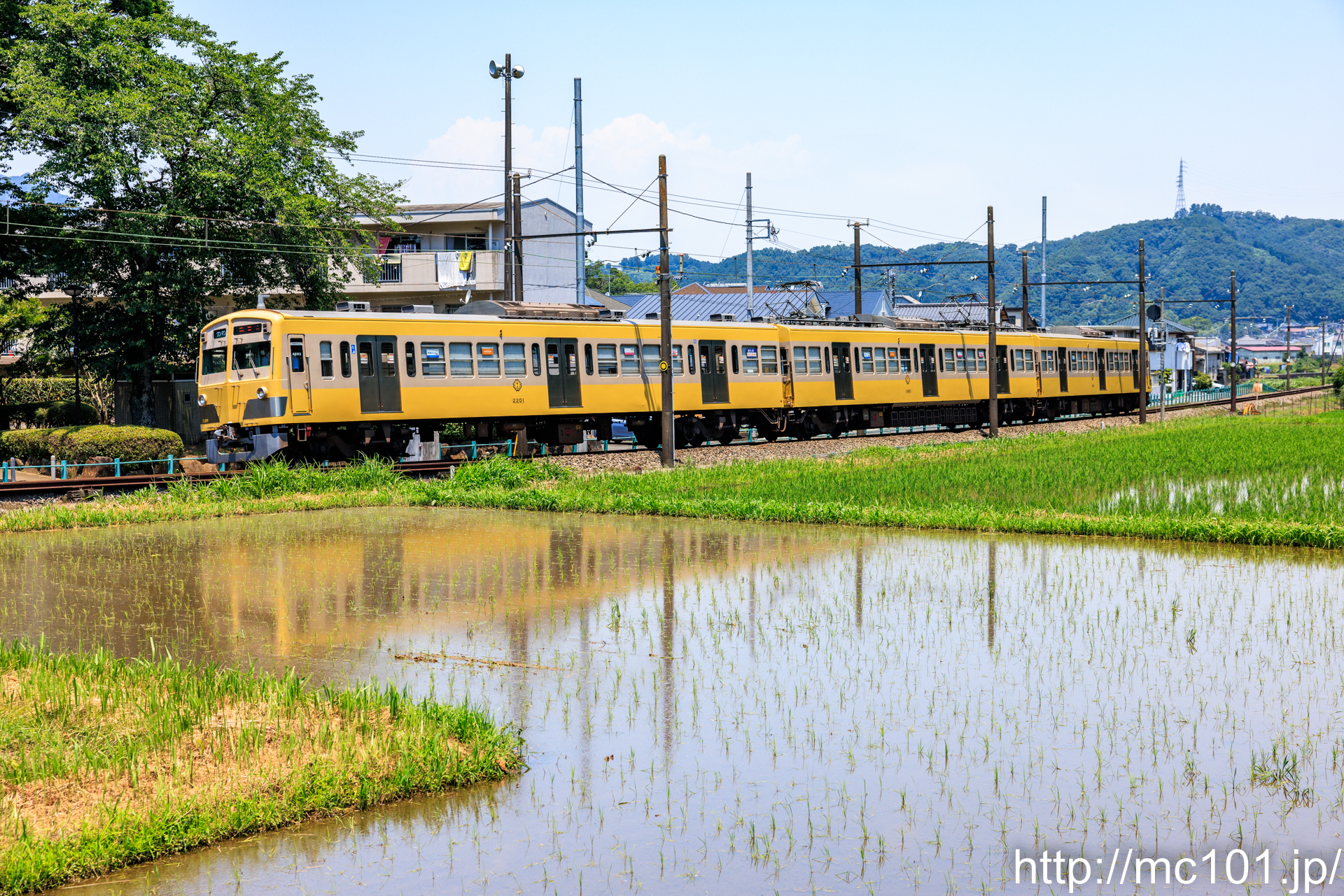 伊豆箱根鉄道駿豆線 牧之郷～修善寺間で撮影した伊豆箱根鉄道1300系2201を先頭とする列車(1301F)の写真