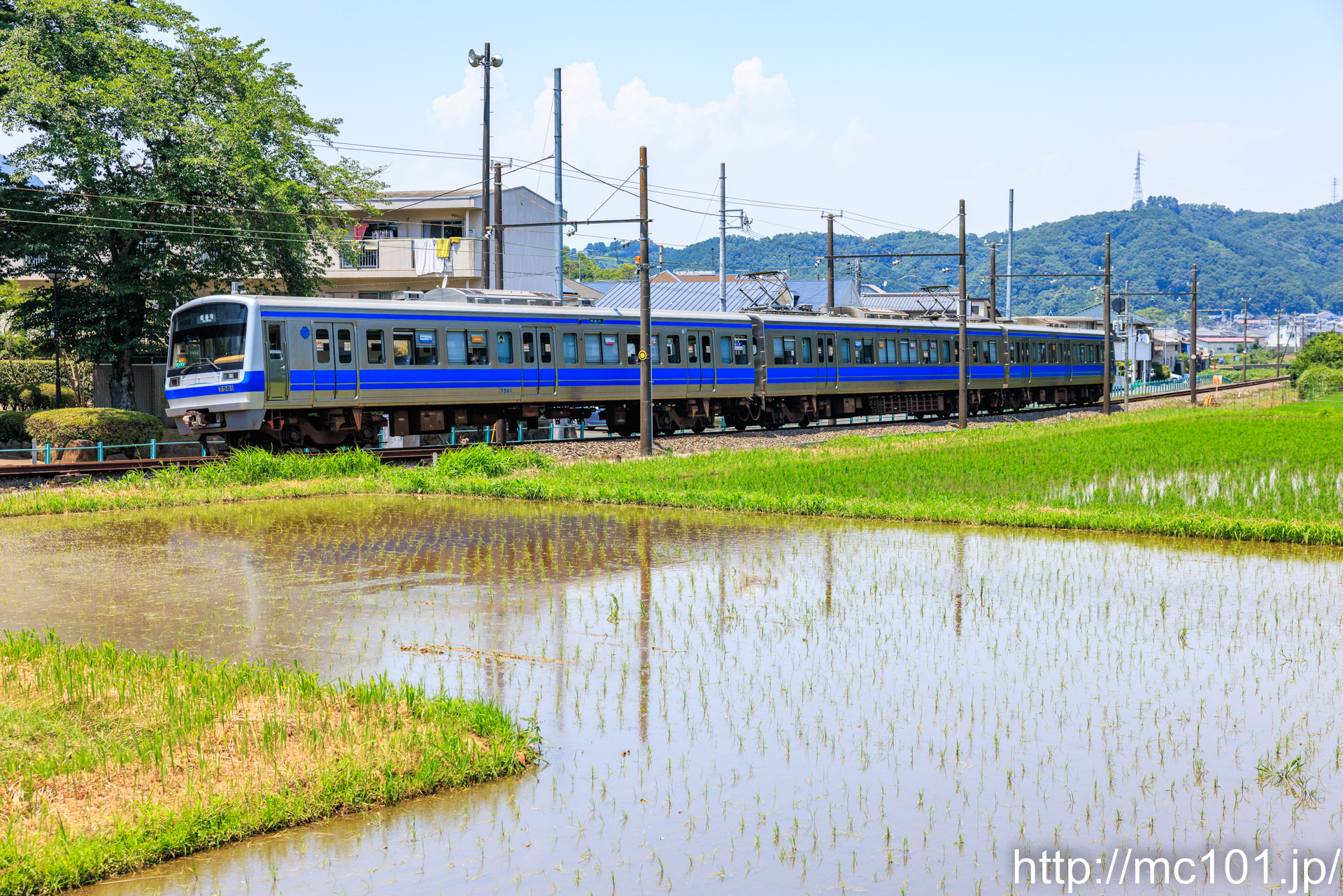 伊豆箱根鉄道駿豆線 牧之郷～修善寺間で撮影した伊豆箱根鉄道7000系7501を先頭とする列車(7501F)の写真