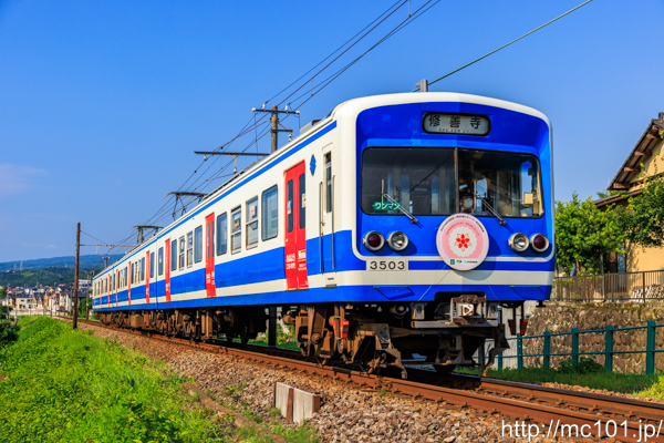 伊豆箱根鉄道駿豆線 田京～大仁間で撮影した伊豆箱根鉄道3000系3503を先頭とする列車(3503F)の写真