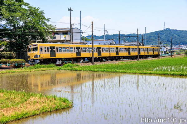 伊豆箱根鉄道駿豆線 牧之郷～修善寺間で撮影した伊豆箱根鉄道1300系2201を先頭とする列車(1301F)の写真