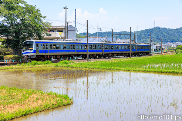 伊豆箱根鉄道駿豆線 牧之郷～修善寺間で撮影した伊豆箱根鉄道7000系7501を先頭とする列車(7501F)の写真