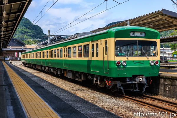 伊豆箱根鉄道駿豆線 修善寺駅で撮影した伊豆箱根鉄道3000系3001を先頭とする列車(3501F)の写真