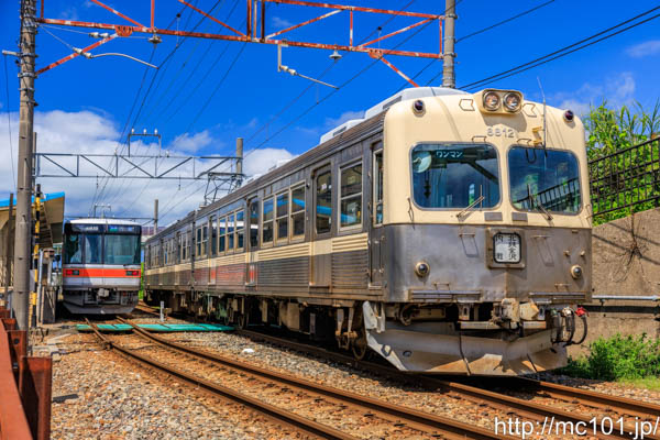 サムネイル写真