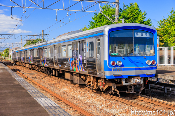 伊豆箱根鉄道駿豆線 伊豆仁田駅で撮影した伊豆箱根鉄道3000系3505を先頭とする列車(3505F)の写真