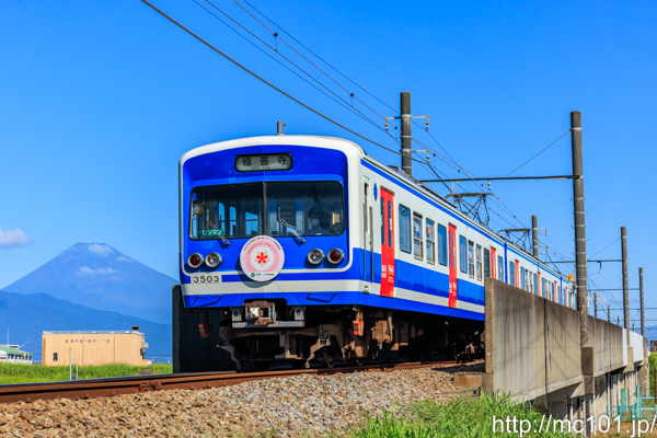 伊豆箱根鉄道駿豆線 伊豆仁田～原木間にてで撮影した伊豆箱根鉄道3000系3503を先頭とする列車(3503F)の写真