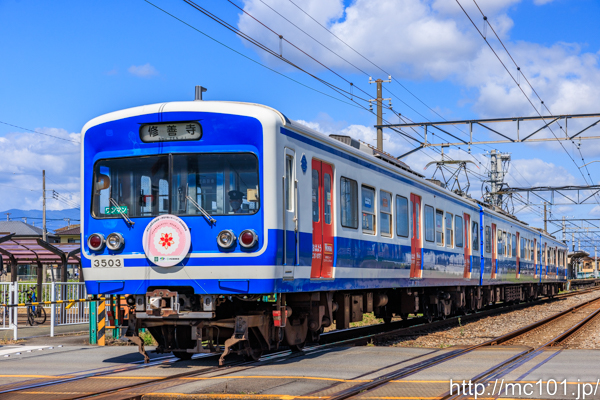 伊豆箱根鉄道駿豆線 原木駅付近で撮影した伊豆箱根鉄道3000系3503を先頭とする列車(3503F)の写真