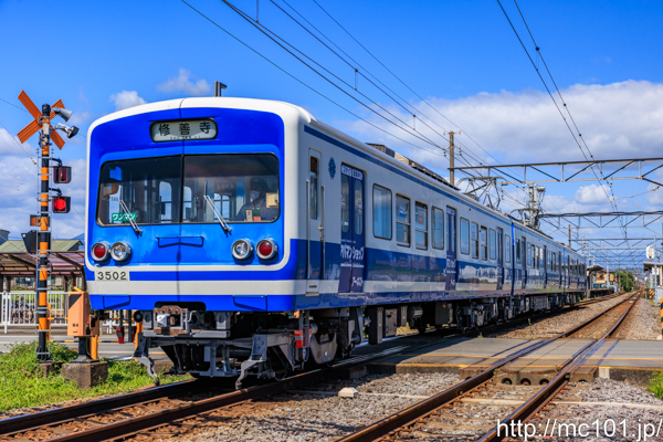 伊豆箱根鉄道駿豆線 原木駅付近で撮影した伊豆箱根鉄道3000系3502を先頭とする列車(3502F)の写真