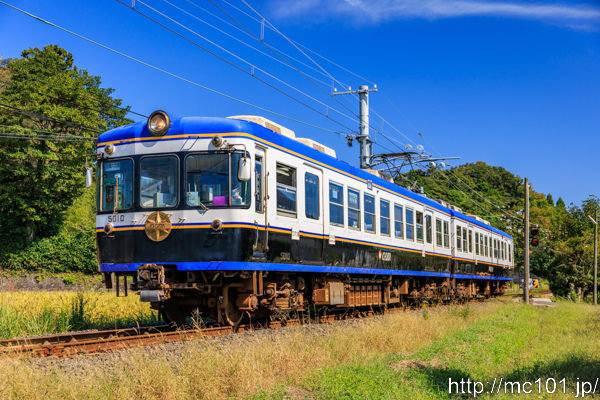 サムネイル写真