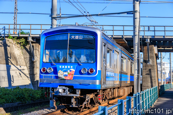 伊豆箱根鉄道大雄山線 五百羅漢駅付近で撮影した伊豆箱根鉄道5000形5005を先頭とする列車(5503F)の写真