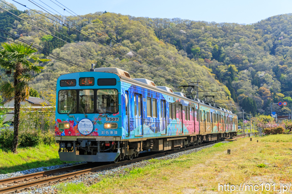 秩父鉄道秩父本線 波久礼～樋口間で撮影した秩父鉄道7500系7507を先頭とする列車の写真