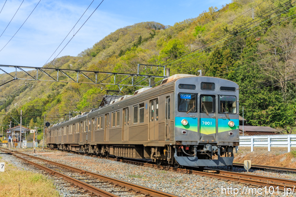 秩父鉄道秩父本線 波久礼駅付近で撮影した秩父鉄道7000系7001を先頭とする列車の写真