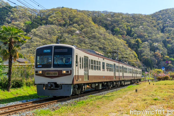 秩父鉄道秩父本線 波久礼～樋口間で撮影した秩父鉄道6000系6203を先頭とする列車の写真