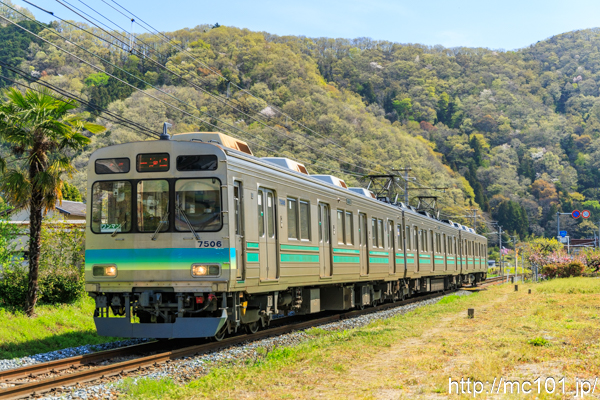 秩父鉄道秩父本線 波久礼～樋口間で撮影した秩父鉄道7500系7506を先頭とする列車の写真