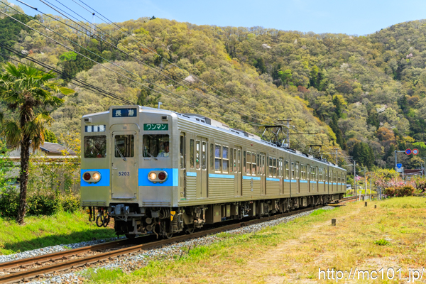 秩父鉄道秩父本線 波久礼～樋口間で撮影した秩父鉄道5000系5203を先頭とする列車の写真