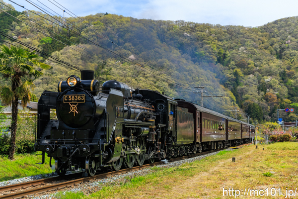 秩父鉄道秩父本線 波久礼～樋口間で撮影した秩父鉄道C58 363号機 + 旧型客車(JR東日本)の写真