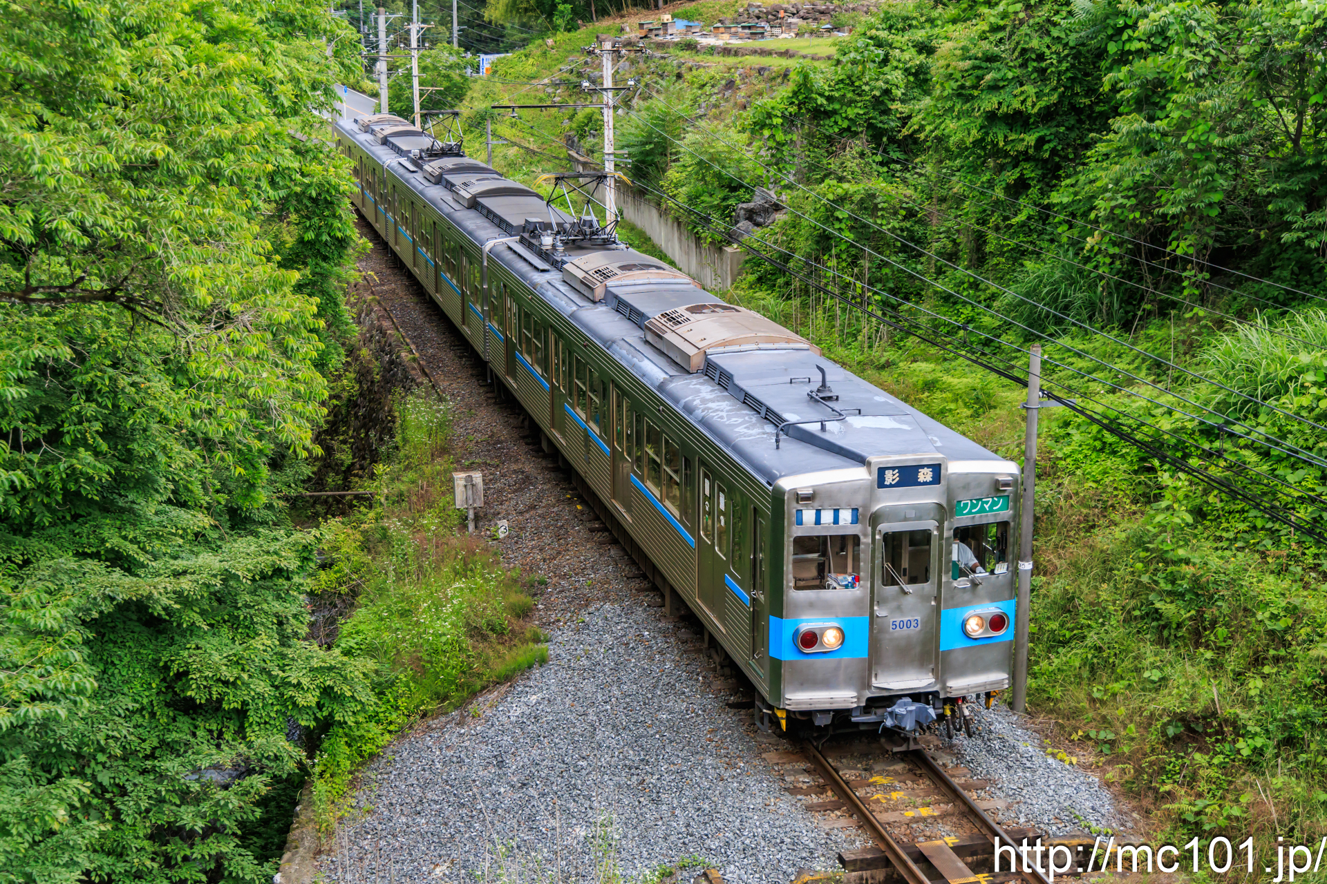 秩父鉄道秩父本線影森～浦山口間 で撮影した秩父鉄道5000系5003 他 の写真