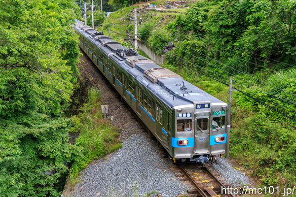 秩父鉄道秩父本線影森～浦山口間 で撮影した秩父鉄道5000系5003 他 の写真