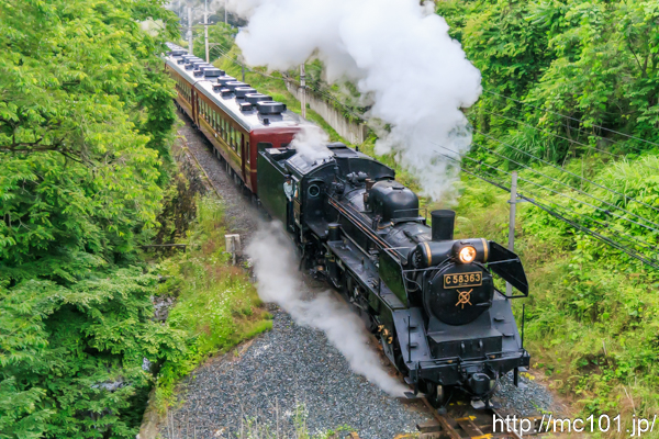 秩父鉄道秩父本線影森～浦山口間 で撮影した秩父鉄道C58 363号機  + 12系客車 の写真