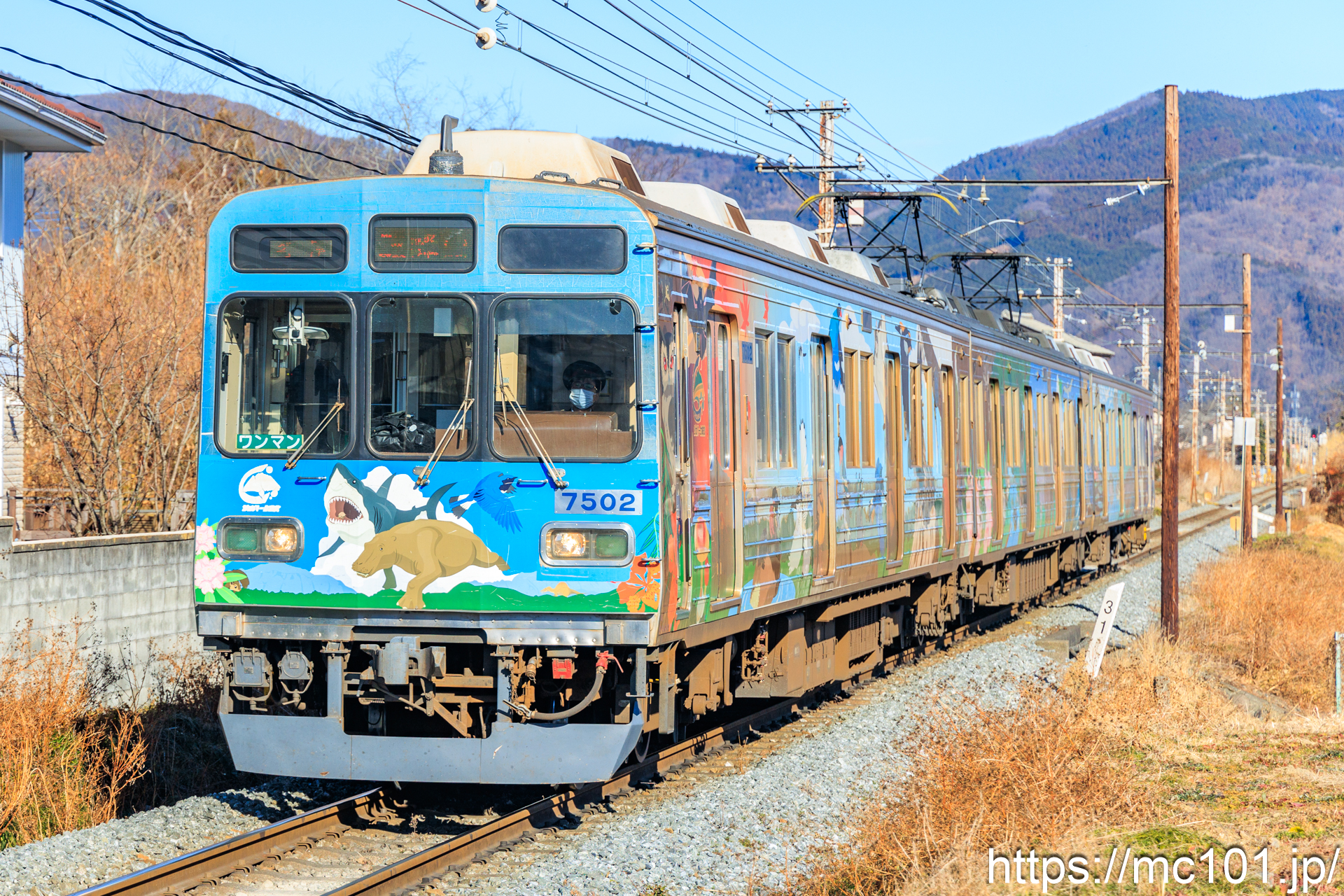 秩父鉄道秩父本線野上～長瀞間 で撮影した秩父鉄道7500系7502 他 の写真