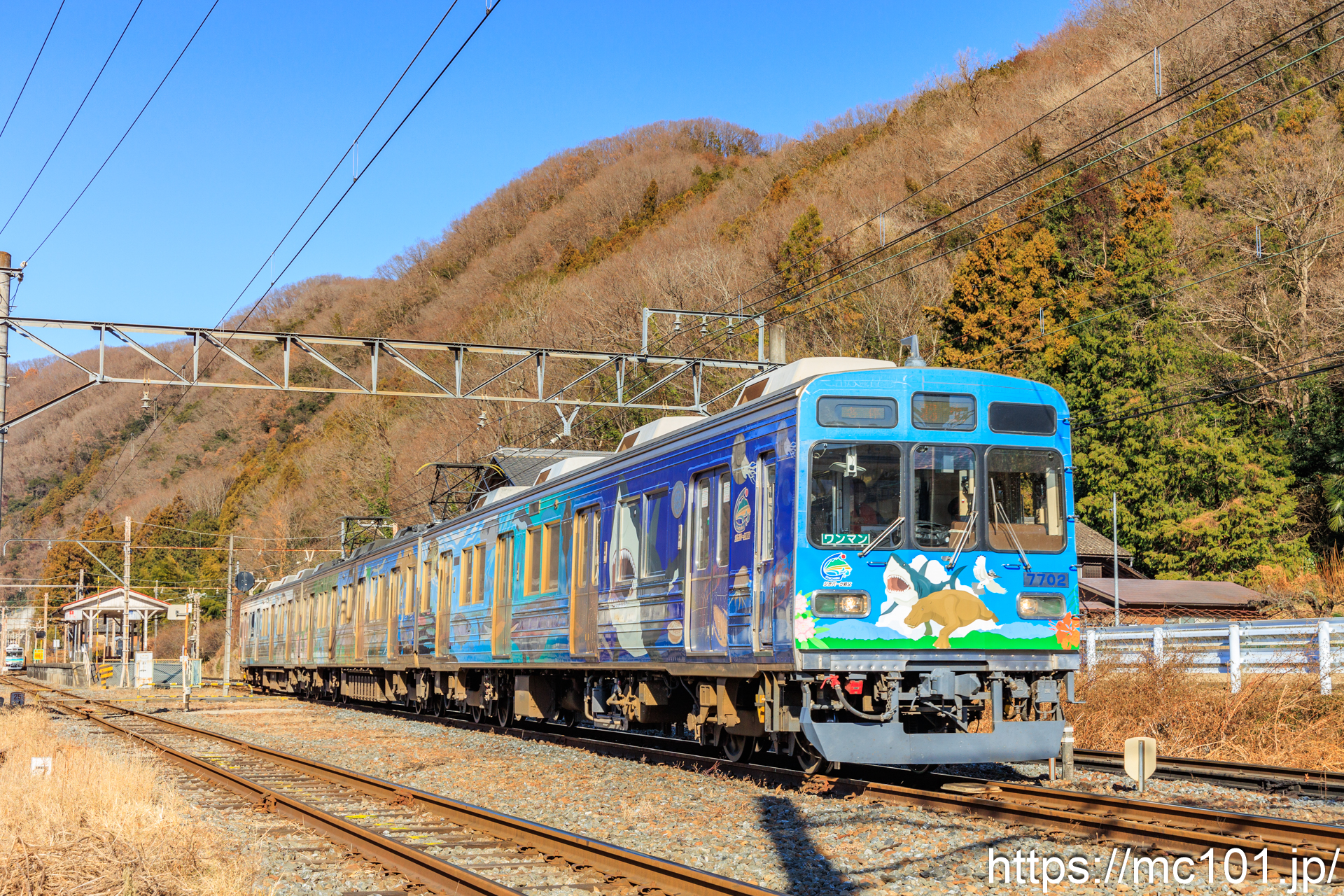 秩父鉄道秩父本線波久礼駅付近 で撮影した秩父鉄道7500系7702 他 の写真
