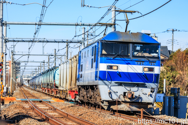 JR東日本高崎線吹上～行田間 で撮影したJR貨物EF210-125  + 貨車(タンク車等)他 の写真