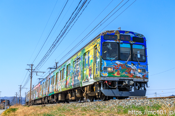 秩父鉄道秩父本線 ふかや花園～小前田間で撮影した秩父鉄道7500系7705を先頭とする列車(7505F)の写真