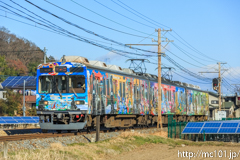 [秩父鉄道桜沢～寄居間] 1519列車、7505F秩父三社トレイン