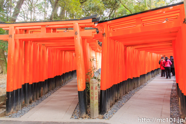 [写真]