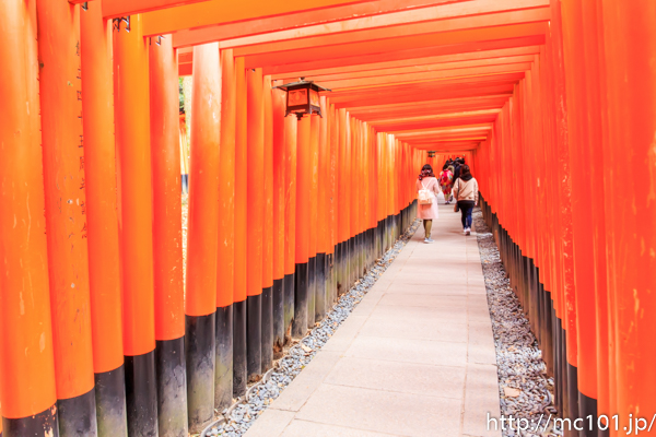 [写真]