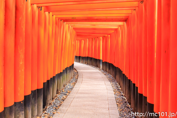 [写真]
