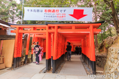 [伏見稲荷大社] 千本鳥居(6)