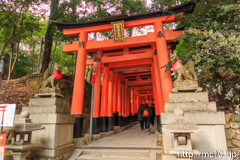 [伏見稲荷大社] 千本鳥居(5) この先(山の方)には時間の都合で行きませんでした。